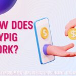 How does Paypig work